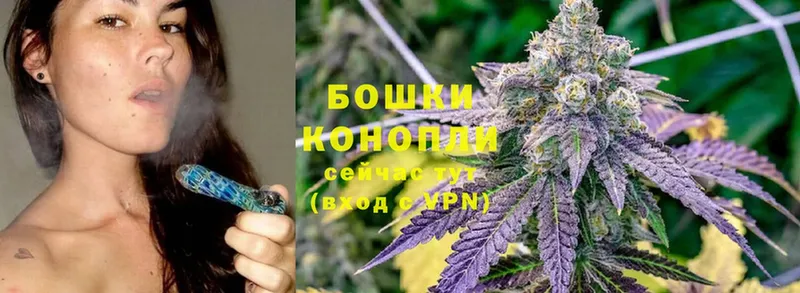 ссылка на мегу маркетплейс  Бакал  darknet формула  Каннабис White Widow 